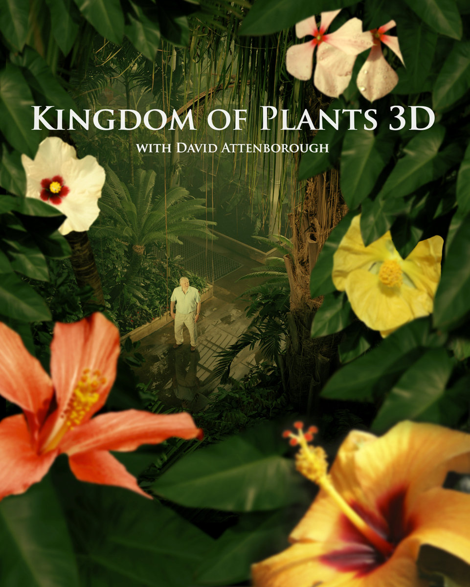 植物王国 Kingdom of Plants 3D
