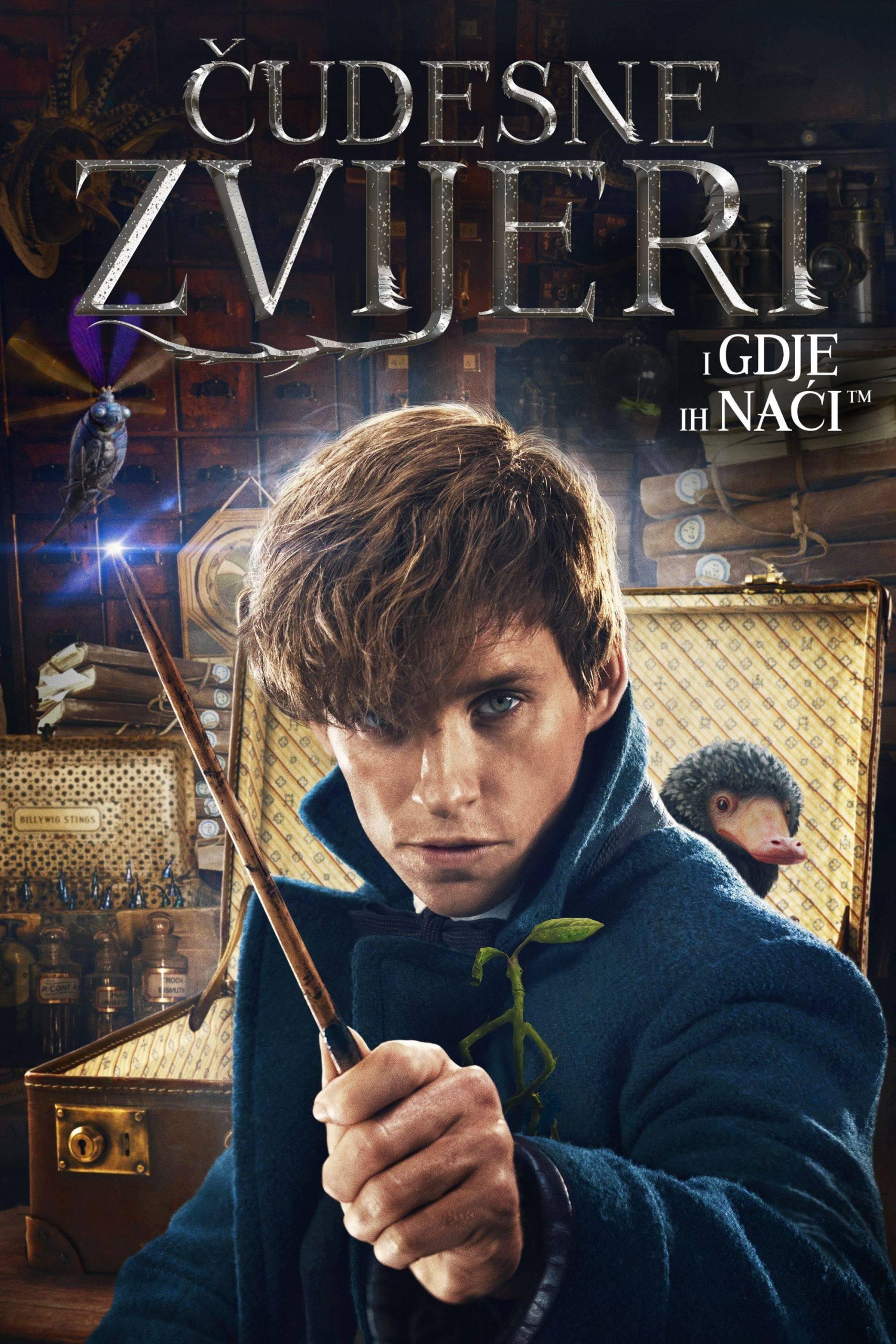 神奇动物在哪里 Fantastic Beasts and Where to Find Them