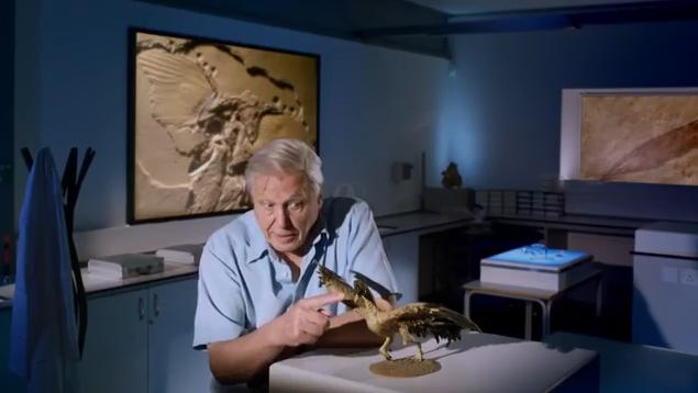 飞行巨兽 Flying Monsters 3D with David Attenborough